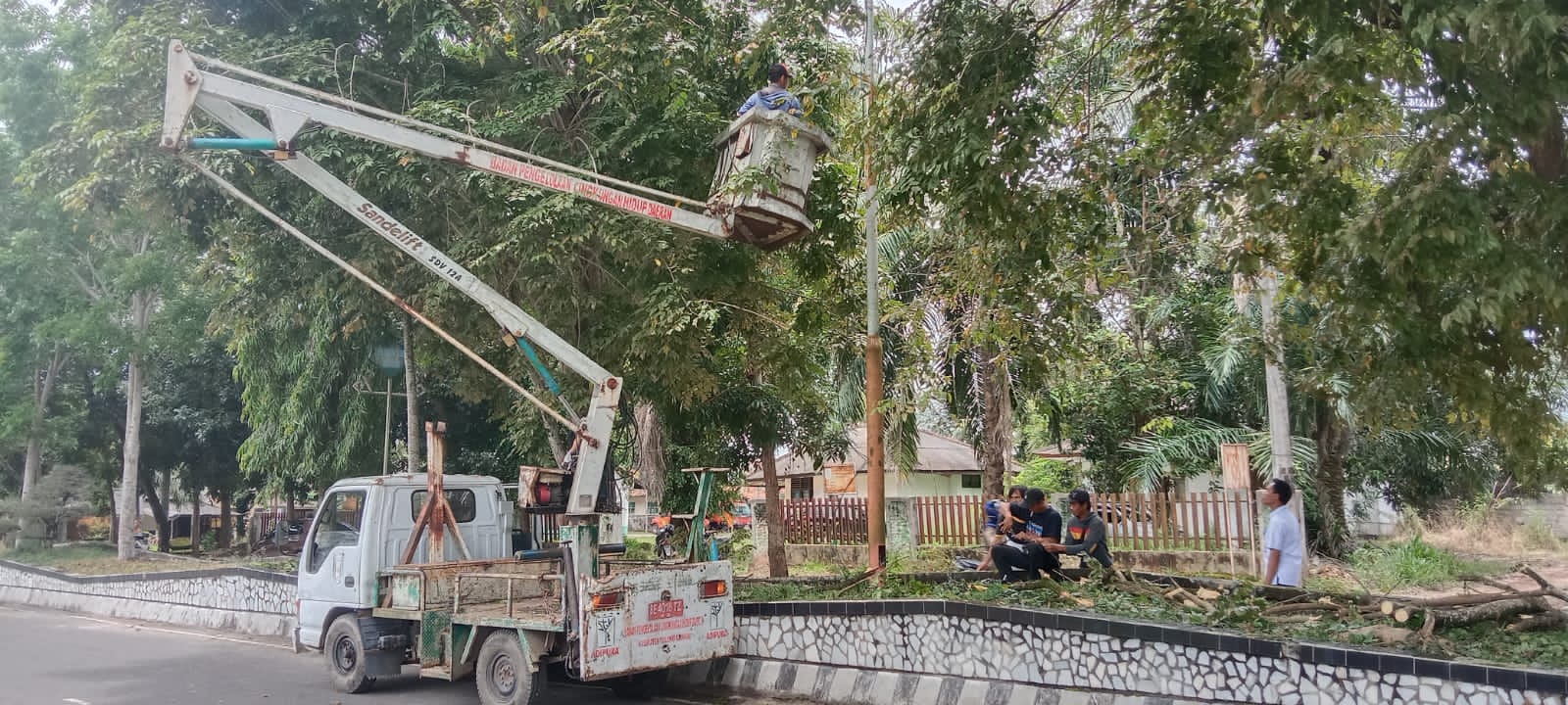 Musim Hujan, DLH Tuba Rutin Pangkas Dahan Pohon di Tepi Jalan