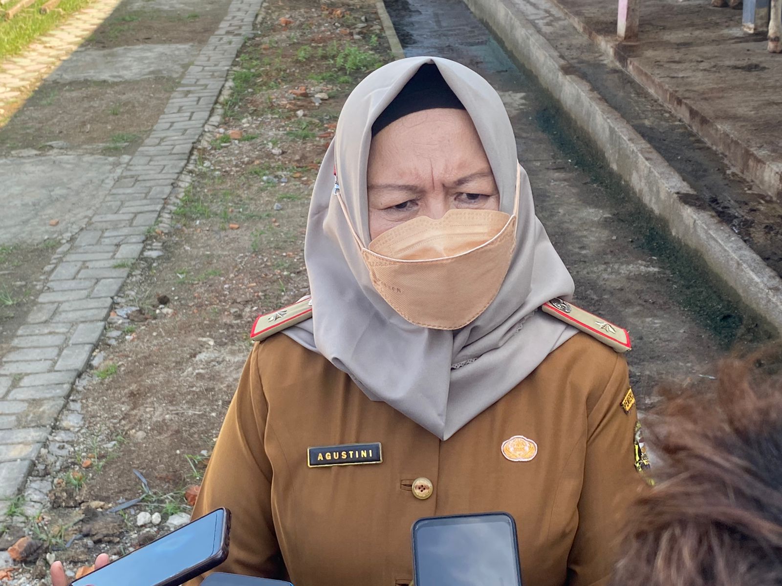 Dinas Pertanian Bandar Lampung Sebut Harga Telur Ayam Akan Mengalami Penurunan