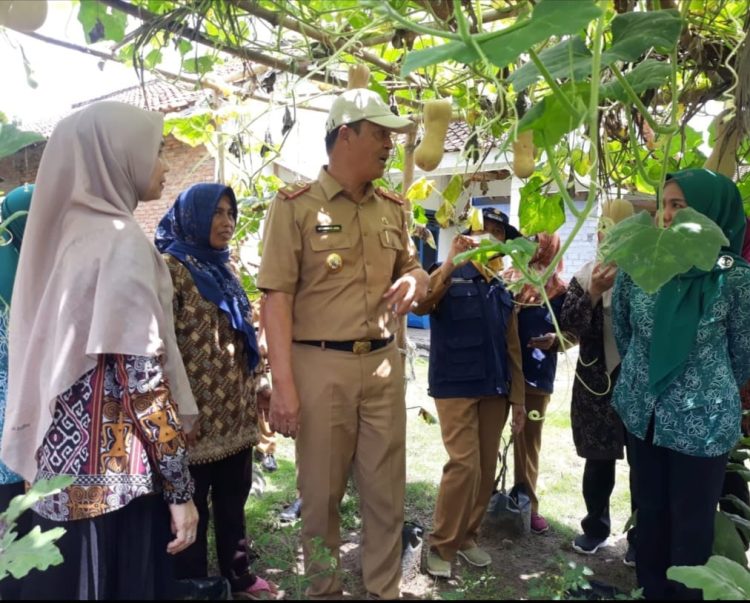 Program Keluarga Nenemo Mandiri Pangan Tubaba Solusi Ketahanan Pangan Masyarakat