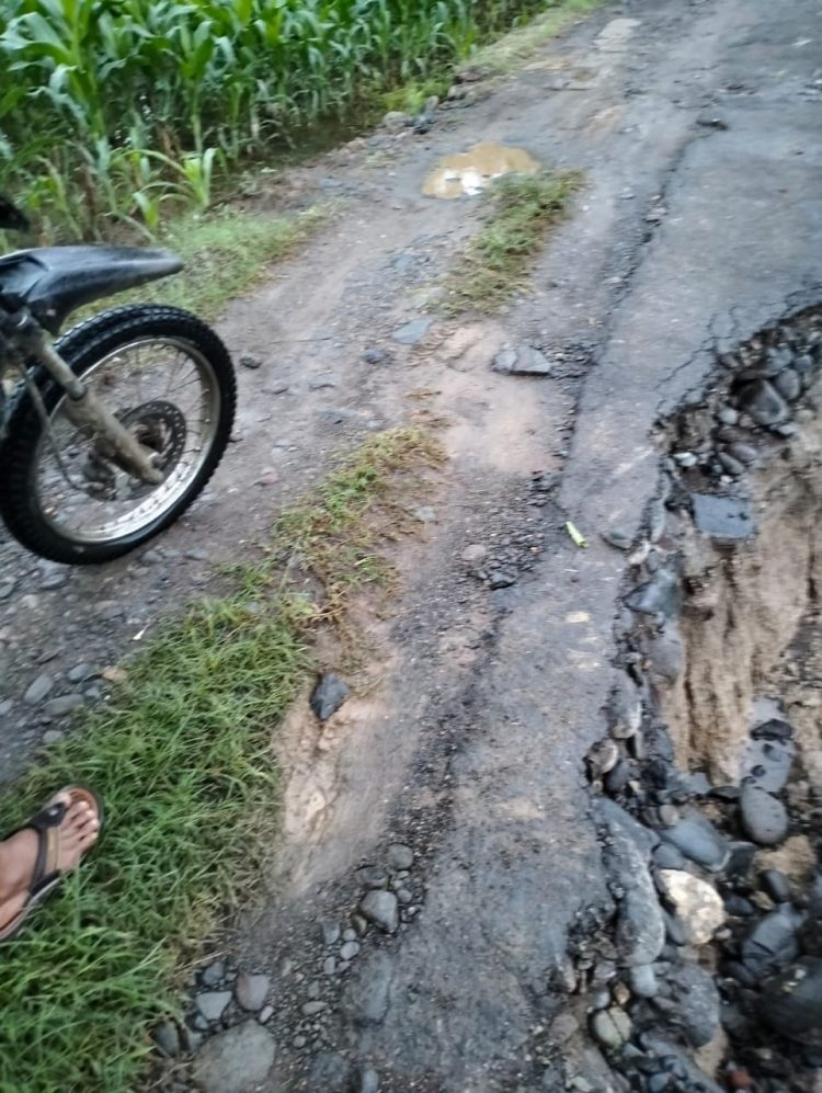 Lokasi Jalan Longsor Bukan Tempat Selfi Pejabat, Pekon Sinar Bangun Butuh Tindakan Pemerintah