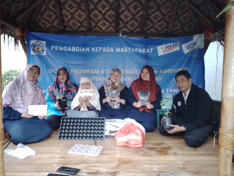 Polinela Dukung Program Kawasan Rumah Pangan Lestari (KRPL) di Kota Bandar Lampung