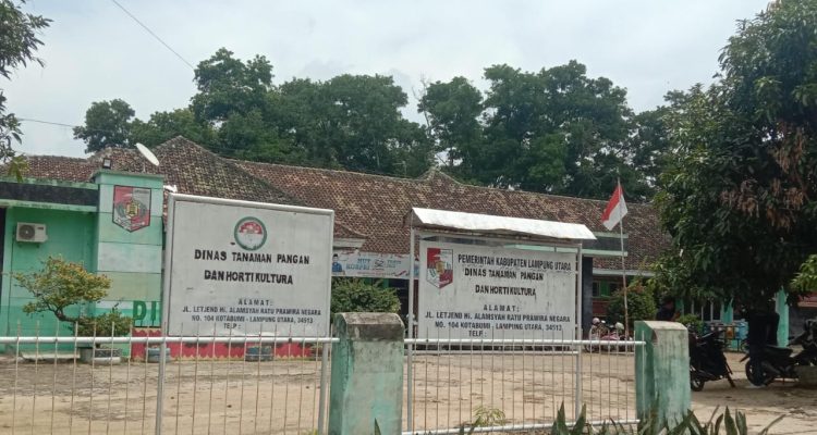 Padi Siap Panen di Lampung Utara Capai 10.600 Hektare