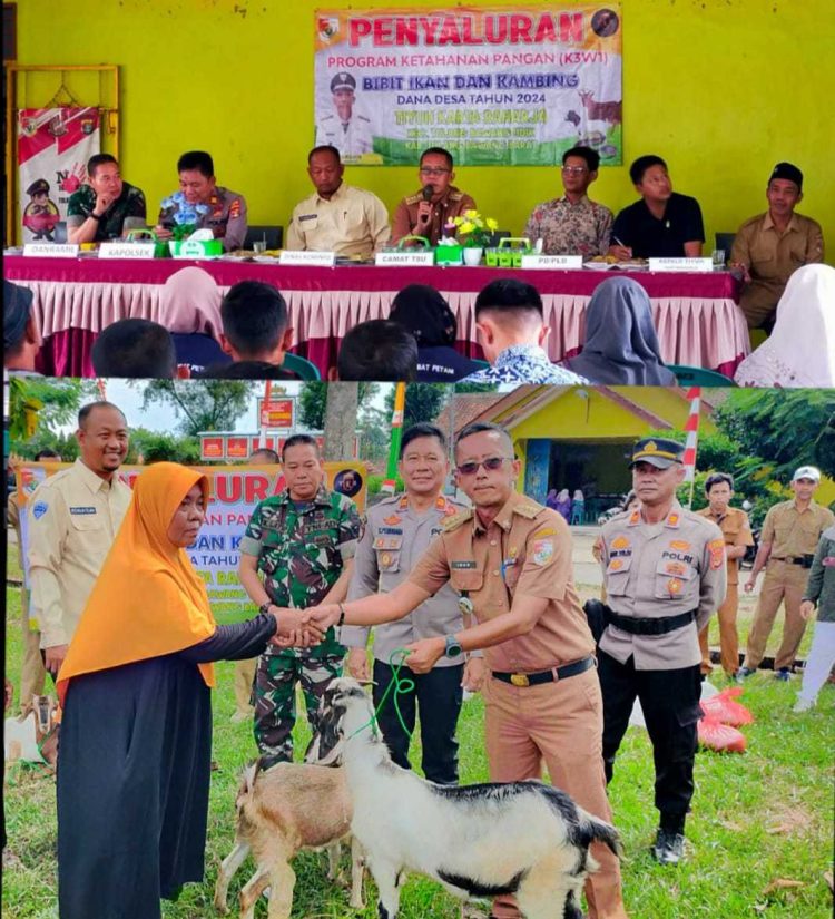 Program Ketahanan Pangan Pemerintah Tiyuh Kartaraharja Salurkan Bibit Kambing dan Bibit Ikan Kepada Masyarakat