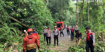 Jalur Liwa Krui Sempat Macat Akibat Pohon Tumbang, Polres Lambar Berlakukan Bukak Tutup
