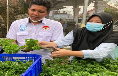 Tim Dosen Pengelolaan Agribisnis Lakukan Penelitian Perilaku Konsumen dalam Memutuskan Pembelian Sayuran Hidroponik di Bandar Lampung