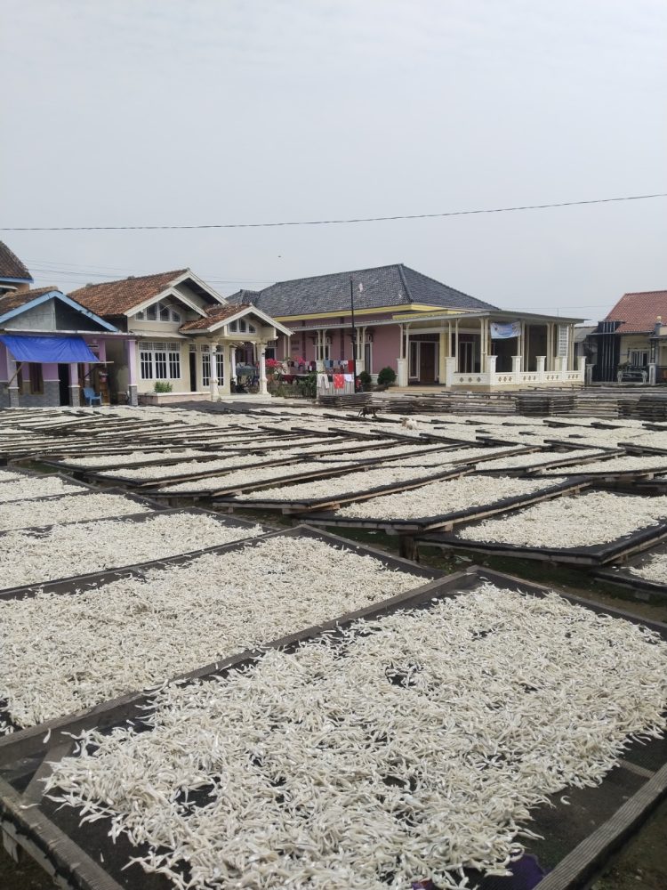 TIM Dosen Polinela Melakukan Penelitian Penyusunan Strategi Peningkatan Daya Saing Industri Pengolahan Ikan Kering di Bandar Lampung