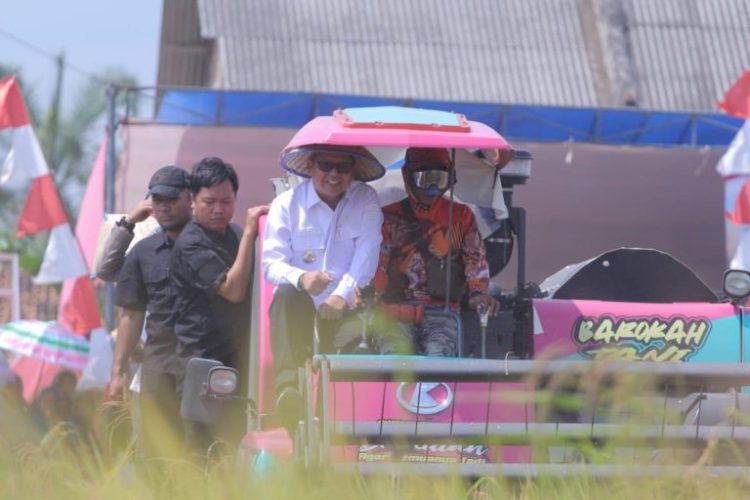 Kepala BPPL Sebut Tulangbawang Paling Cocok untuk Bertani