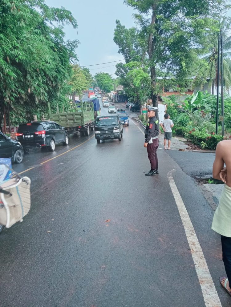 Hujan Deras, Pohon Tumbang Di Jalintengsum Lampung Utara Depan Makodim