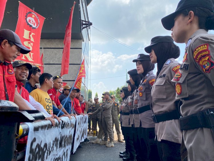 Harga Kakao di Pesawaran Tembus Rp180 Ribu Per Kilogram