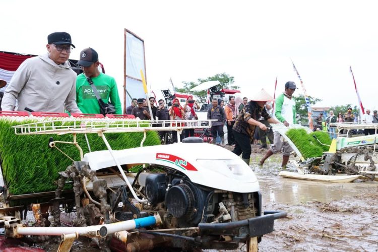 Lampung Siap Jadi Garda Terdepan Ketahanan Pangan Nasional