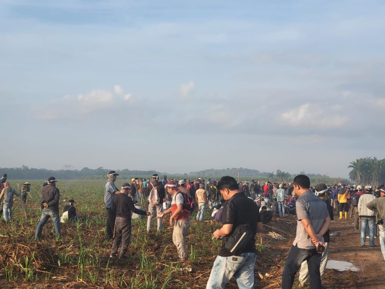Massa Tiga Kampung Duduki Lahan PT BSA, Gugatan Masyarakat Sudah Ditolak Pengadilan