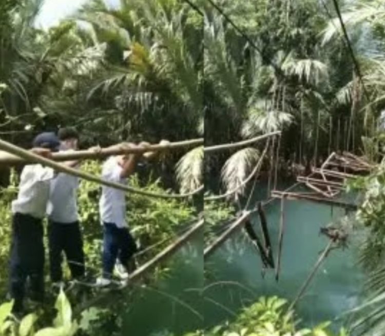 Gubernur Mirza Instruksikan Kadis BMBK Gerak Cepat Tangani Jembatan Viral di Pematang Sawa Tanggamus