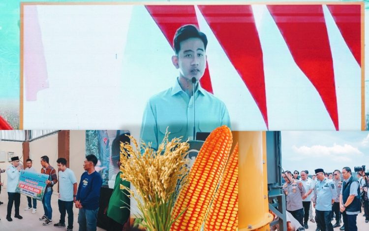 Pemprov Lampung Perkuat Kolaborasi Lintas Sektor Dukung Swasembada Pangan Terutama Beras Dan Jagung