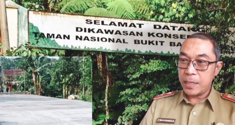 Pembangunan Jalan Way Nipah-Tampang Tua Perlu Kajian Mendalam Agar Tidak Merusak TNBBS