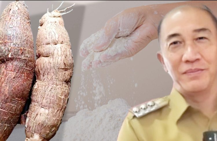 Permintaan Tapioka Dunia Terus Anjlok, Pemprov Dorong Kemitraan Antara Petani Dengan Industri