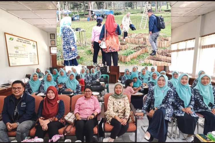 Mahasiswa S3 Ilmu Pertanian UNPAD Gelar PkM  Mengedukasi Pemanfaatan Pekarangan Rumah untuk Ketahanan Pangan Keluarga