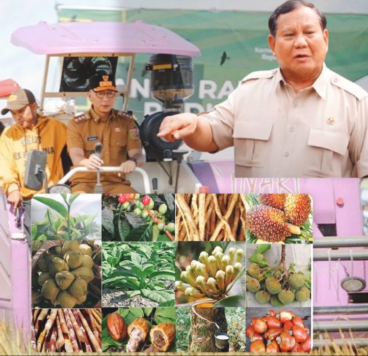 Gubernur Mirza Perkuat Strategi Pembangunan  Perkebunan Berkelanjutan Menuju Lampung Lumbung Pangan Nasional
