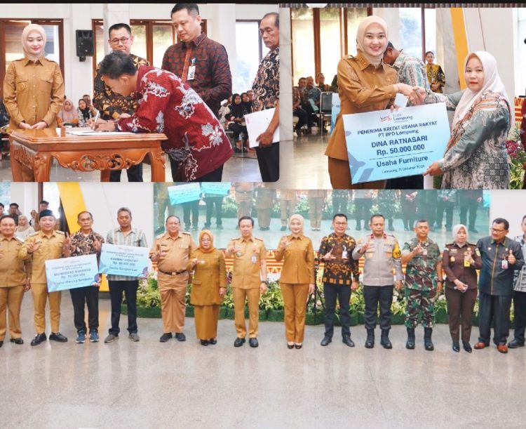 Dukung Program Nasional Penciptaan Lapangan Kerja, Wagub Serahkan KUR Ke Pelaku UMKM