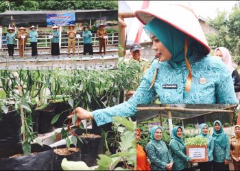 Canangkan Desa TAPIS di Lambar, Ketua TP. PKK Provinsi Lampung Serahkan Berbagai Bantuan