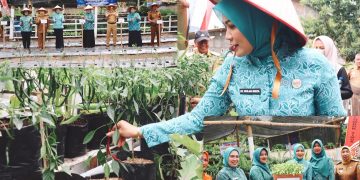 Canangkan Desa TAPIS di Lambar, Ketua TP. PKK Provinsi Lampung Serahkan Berbagai Bantuan