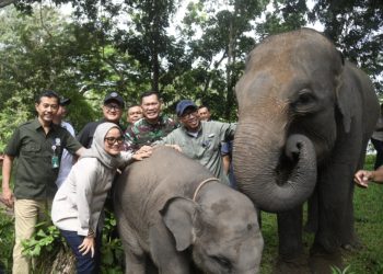 Sukseskan Atensi Presiden, Gubernur Hadiri Rembuk Desa Tuntaskan Persoalan TNWK