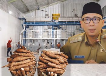 Gubernur Lampung Apresiasi Perusahaan Taat Pergub Tata Kelola Ubi Kayu