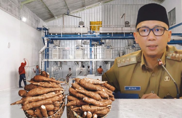 Gubernur Lampung Apresiasi Perusahaan Taat Pergub Tata Kelola Ubi Kayu