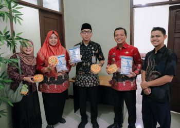 Gubernur Lampung Tinjau Lokasi Sentra Industri Kecil di Pringsewu